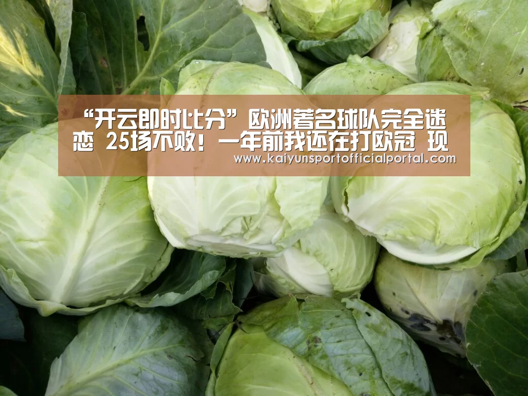 开云即时比分