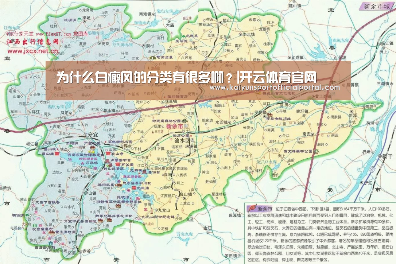 开云体育官网