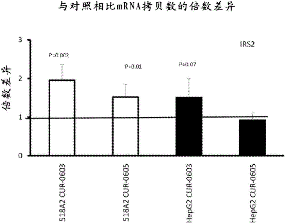 开云体育官网-施廷德尔获选门兴格拉德巴赫四月最佳(图1) 开云官网