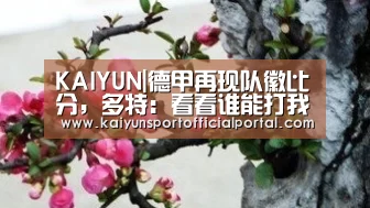 KAIYUN|德甲再现队徽比分，多特：看看谁能打我9个(图1)
